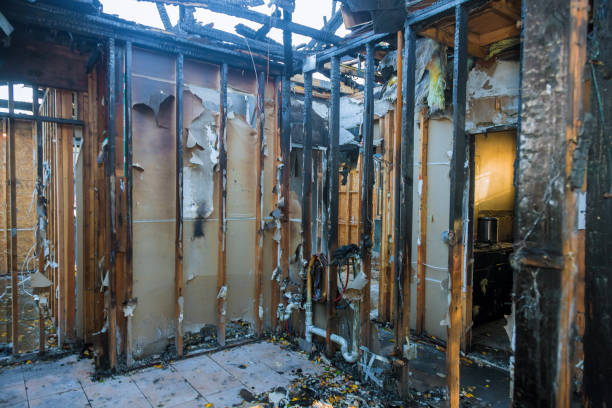 Professional Fire Damage Removal technician working in Orland, CA